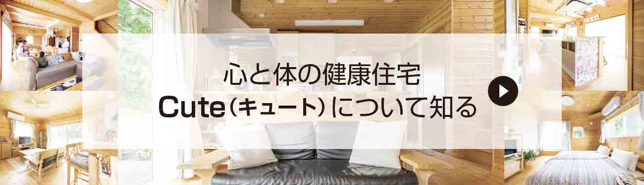 ログハウスのような木の家を低価格で建てるエイ・ワンの心と体の健康住宅Cuteについて知る