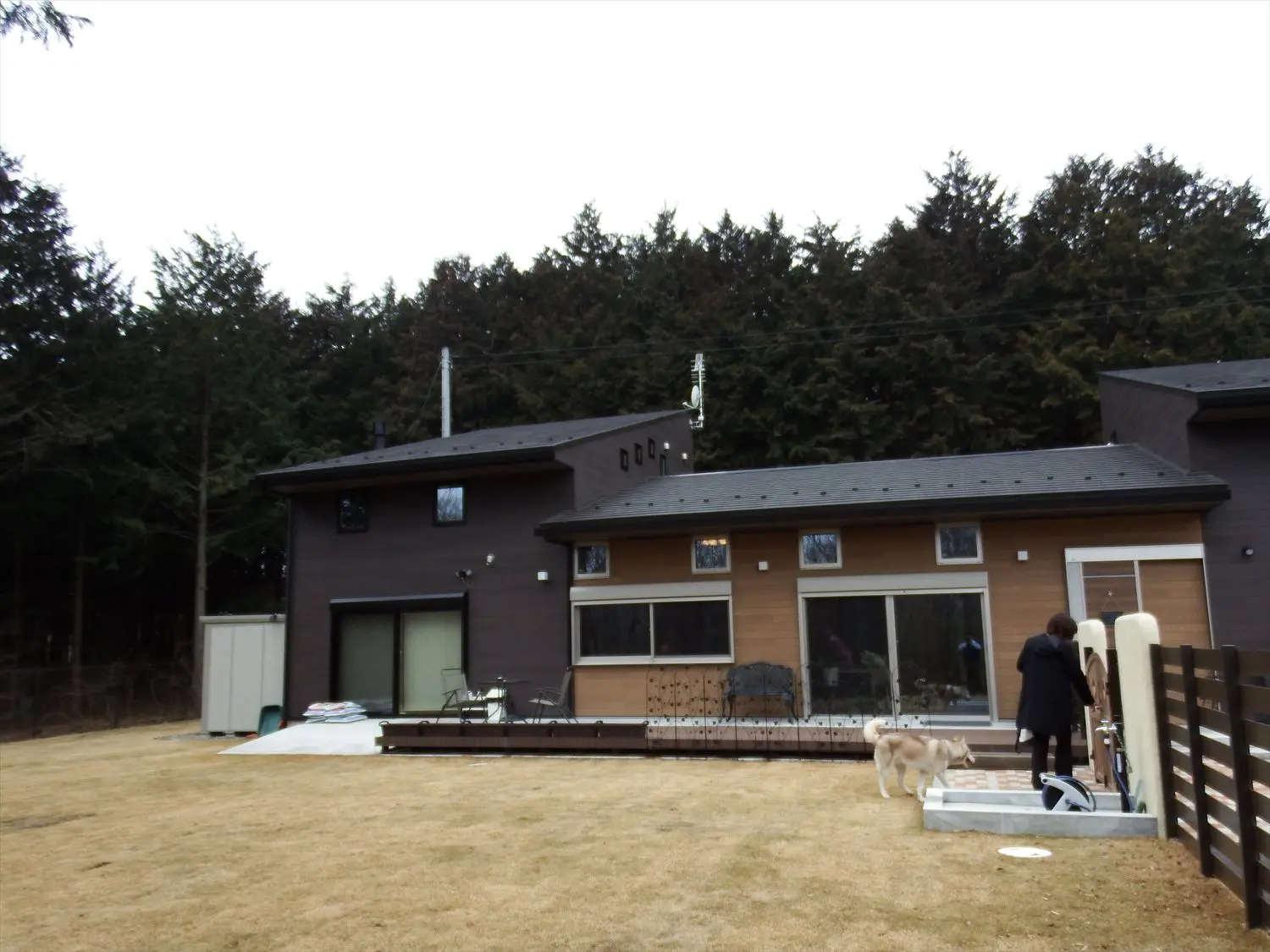 那須塩原市の店舗住宅 無垢材を使用したドッグカフェ 那須塩原市の店舗住宅 無垢材を使用したドッグカフェ