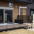 ドッグカフェ店舗住宅とハスキー|那須塩原の注文住宅,ログハウスのような木の家を低価格で建てるならエイ・ワン