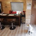 ドッグカフェ店舗住宅と犬|那須塩原の注文住宅,ログハウスのような木の家を低価格で建てるならエイ・ワン