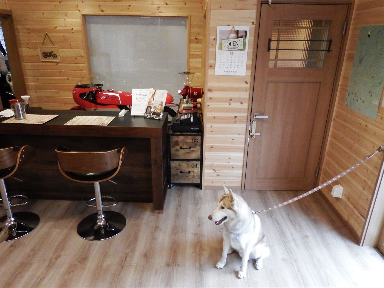 ドッグカフェ店舗住宅と犬|那須塩原の注文住宅,ログハウスのような木の家を低価格で建てるならエイ・ワン