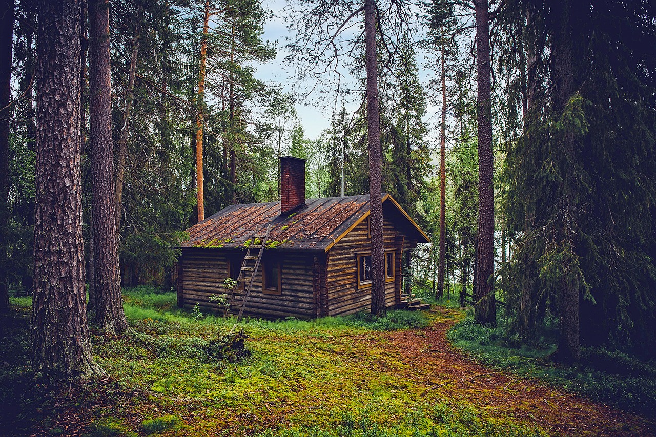 森の中のログハウス