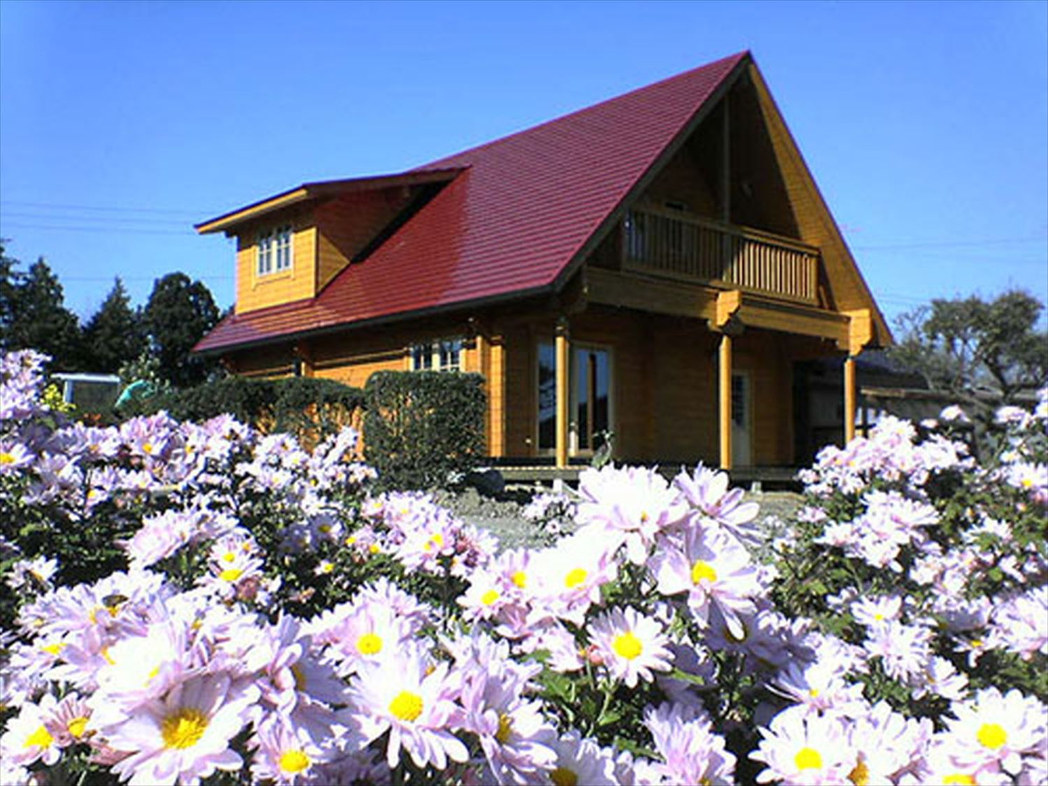 花にかこまれた赤い屋根のメルヘンチックなログハウス ログハウスのような木の家を低価格で建てるならエイ ワン 花にかこまれた赤い屋根のメルヘンチックなログハウス ログハウスのような木の家を低価格で建てるならエイ ワン