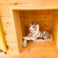 猫と暮らす二階建ての猫用トイレスペース｜土浦市の注文住宅,ログハウスのような木の家を低価格で建てるならエイ・ワン