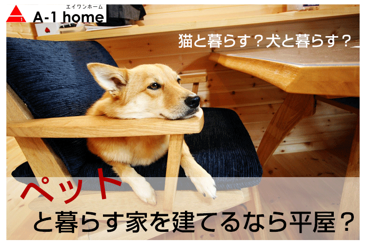 ペットと暮らす家を建てるなら平屋？猫と暮らす？犬と暮らす？